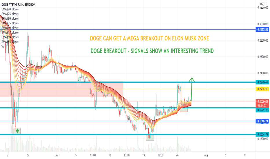 DOGE SHOWS BEFORE TREND WITH ELON MUSK EFFECT - BREAKOUT 0,30+