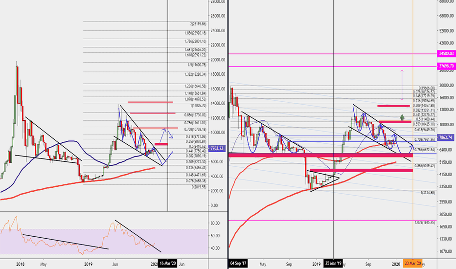 #BTC Bulls vs Trend 2020 Steps @_@