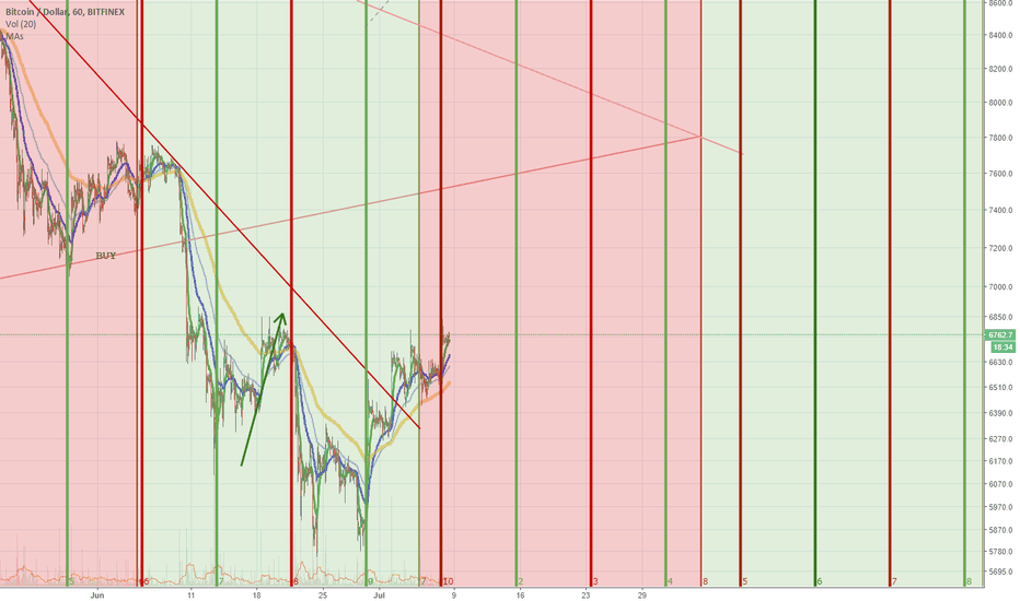 BTCUSD Bitcoin in July and August