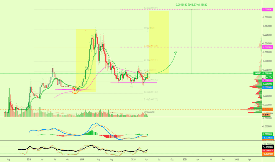 What Happens If Binance Coins Conquers EMA50, 160%+?