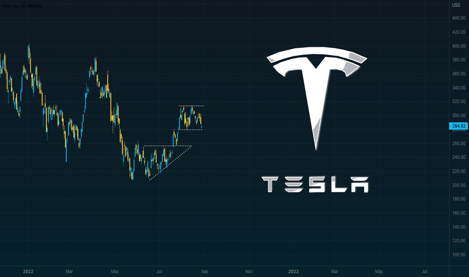 TSLA Logo. Not Much Else