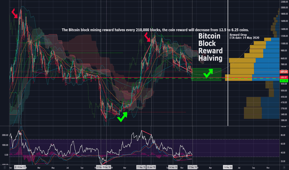 Bitcoin about to shock again(Block Reward Halving ETA: 150 Days)