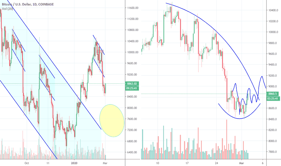 Bitcoin Bull is Bear and Bear is Bull