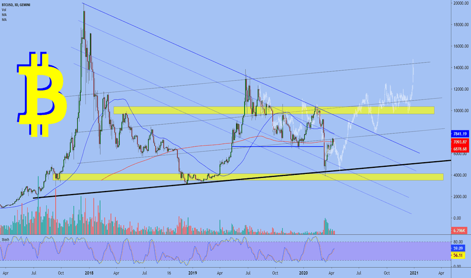 Bitcoin's Scenarios
