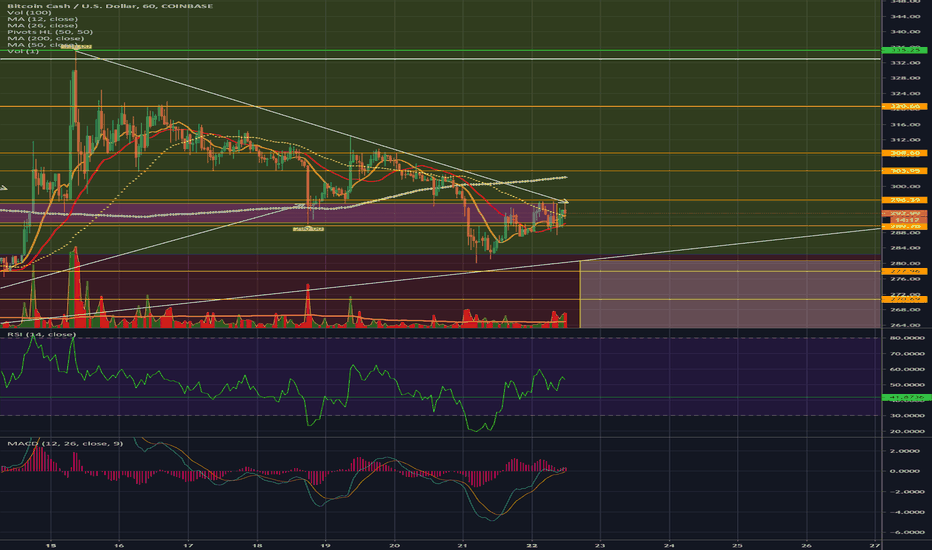 BCH In Depth 4/22/19 1HR: Ride the Zipper ;)