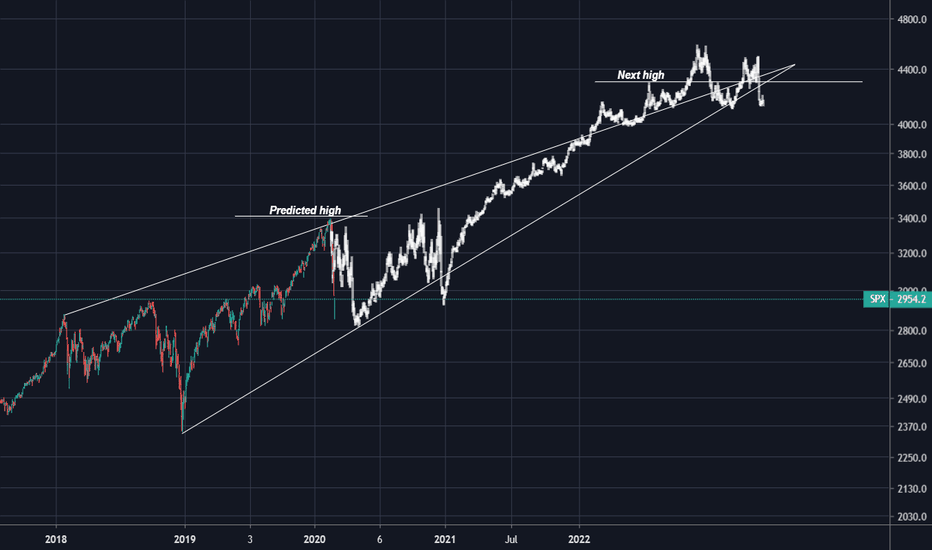 SPX - What Bear Market? 