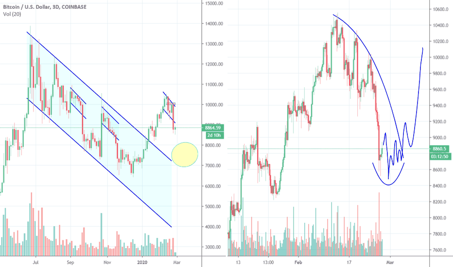 AGAIN the Bitcoin whales pulled it off