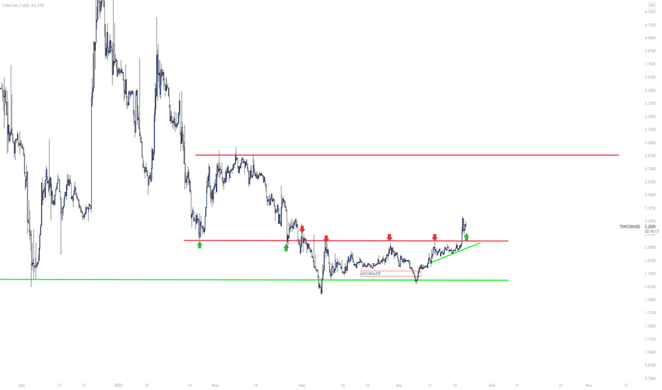 TONCOIN + 50 %