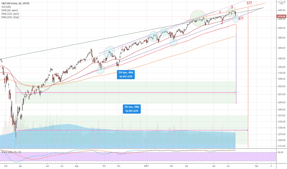 SPX Final top in August bear market should last 2-3 Years