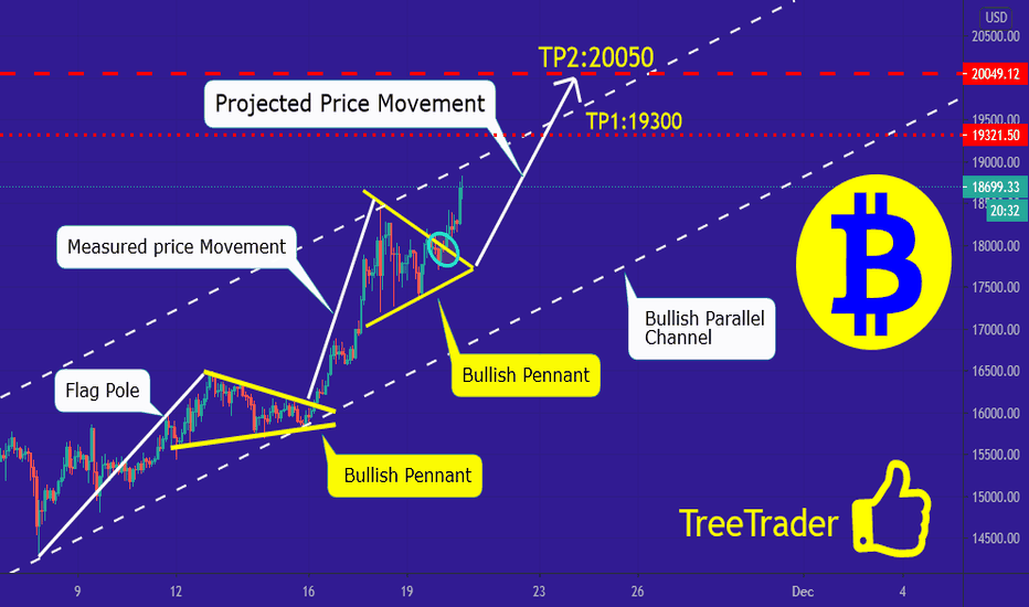 BTC/USD on the way to 20,000