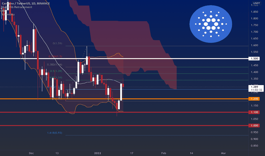 CARDANO Analysis