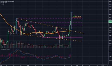 Litecoin New Entry Level