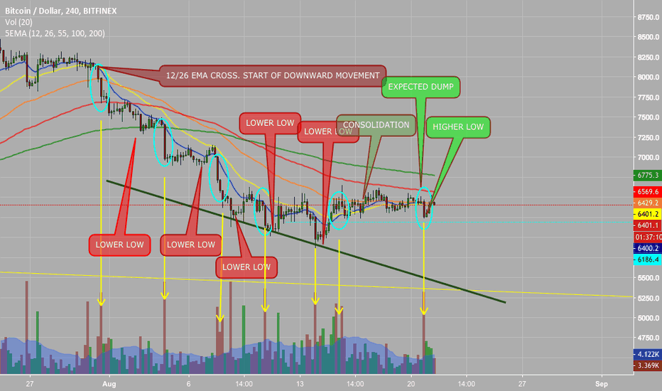 Bear trap?