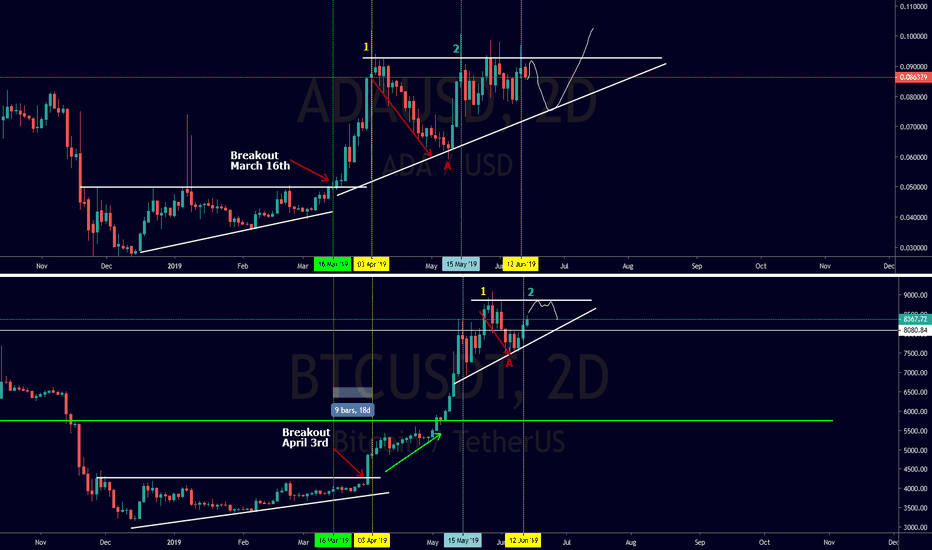 Ada predicts Bitcoin Path!
