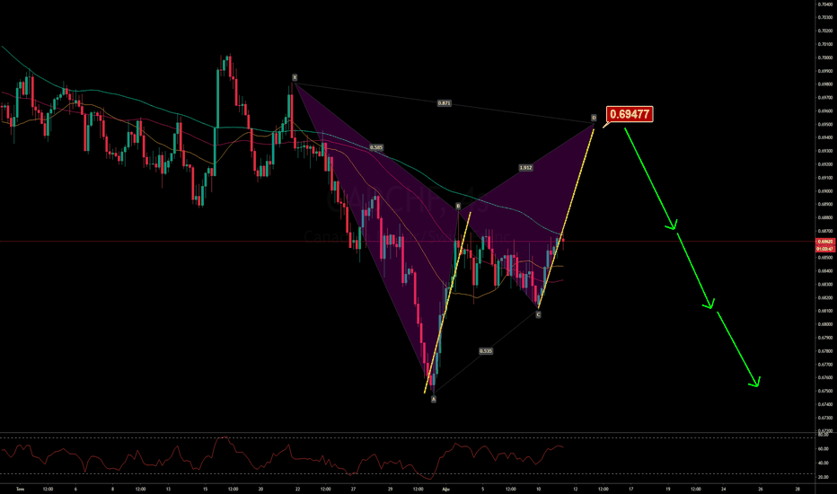 CADCHF Bat Paterni