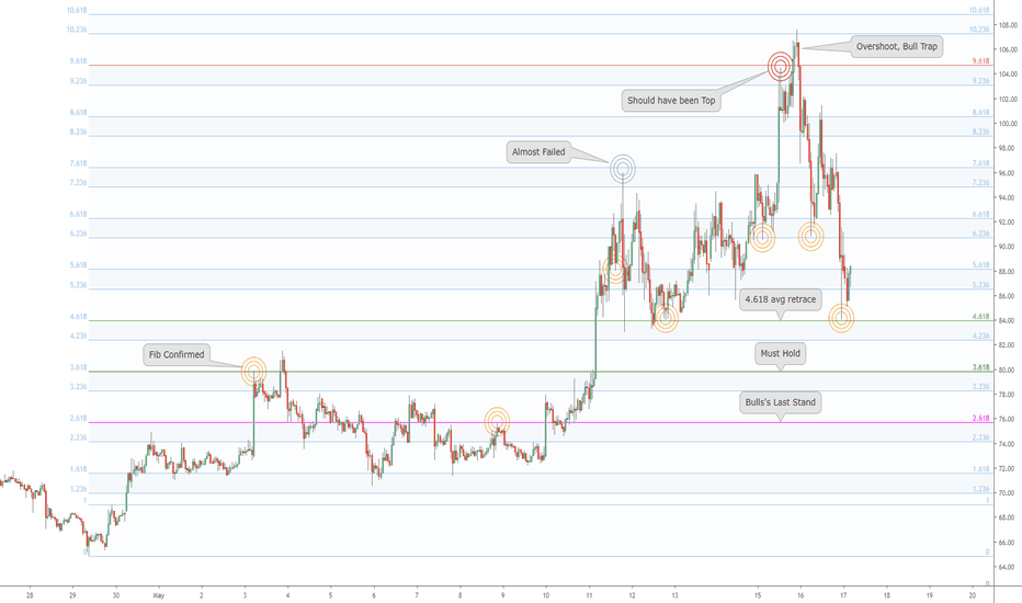 The "'Pulse" of an asset times Fibonacci: LTC overshoots 9.618 