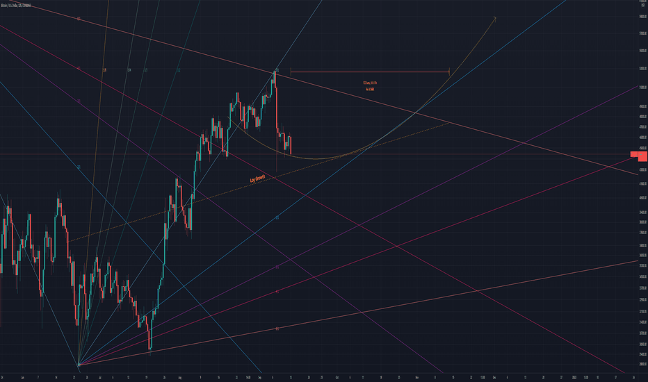 Most important 61 days of the year (Bitcoin)