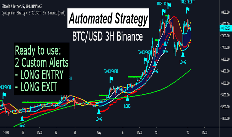 Automated Bitcoin Binance Strategy - RIP HODLERS