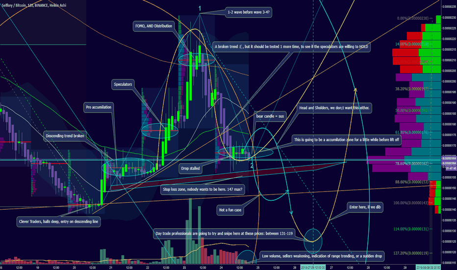 In Depth analysis on a shorter time frame. This chart speaks