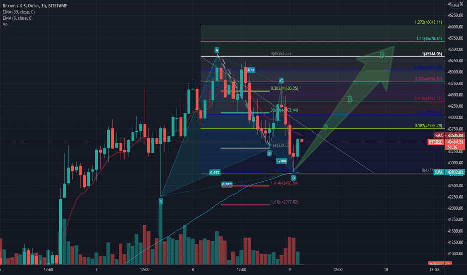 BTC BUTTERFLY