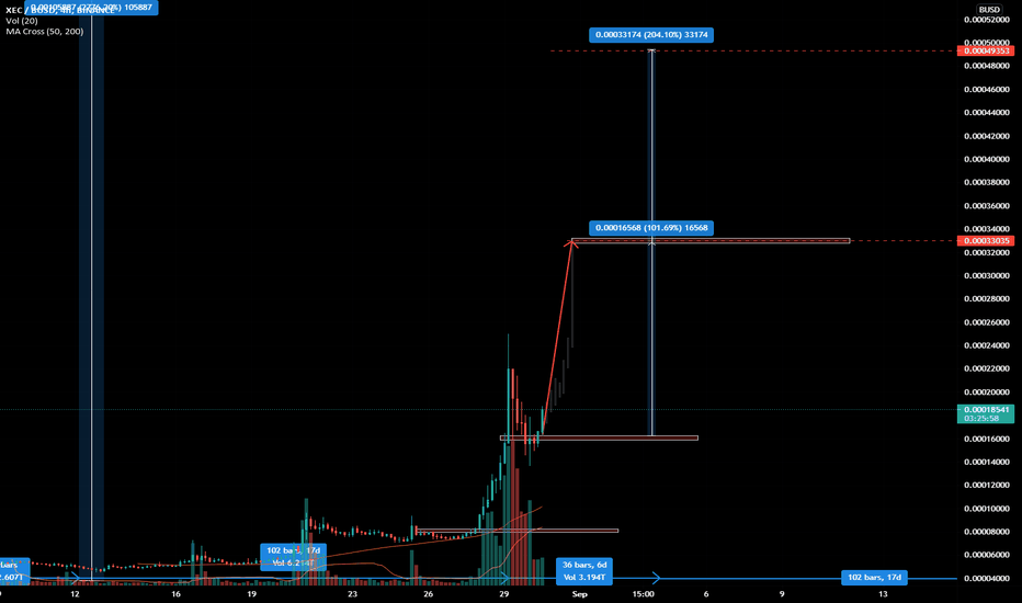 XEC Update - Do you like 100% or 200% Profits? (4H)