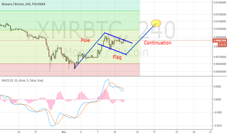 XMR bull flags