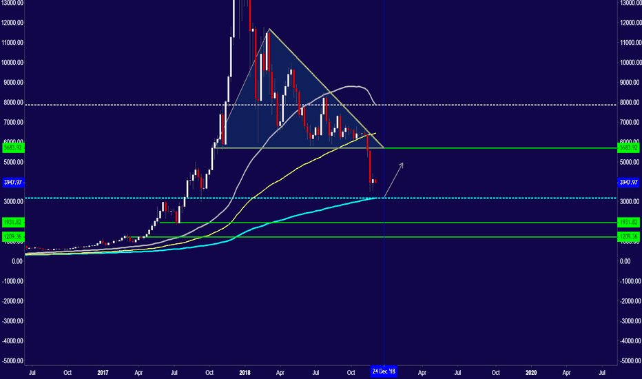 Is BTC Preparing for rebound?!!