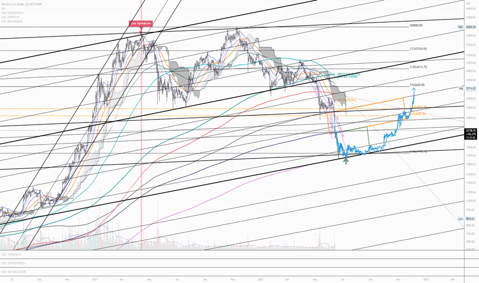 Cycle Bottom Indicator [CBI] - Log Chart [UPDATE 02]