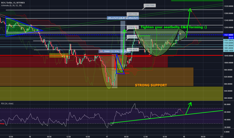 BCH Bit-C&H 