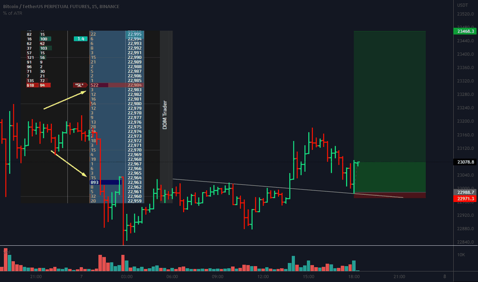 Bitcoin we opened LONG as a bounce from Big size in DOM