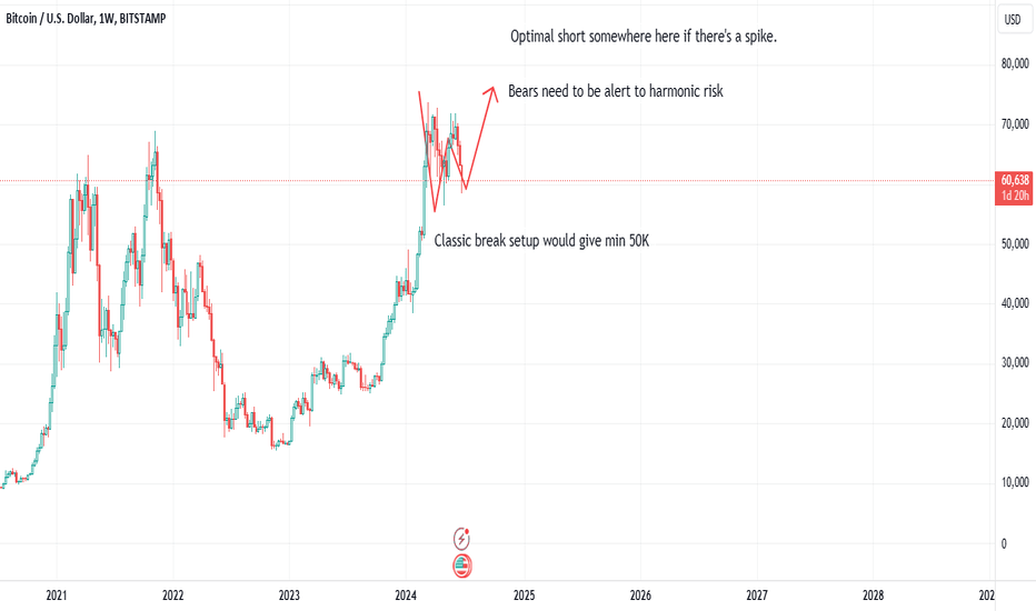 Risks and considerations for BTC bears.