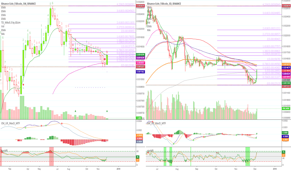 Binance Coin (BNBBTC) Goes Bullish (Targets)