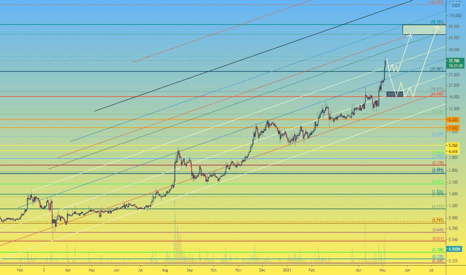 Waves 1D Where to buy and what goals should be expected