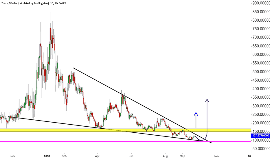 ZEC 2018/2019