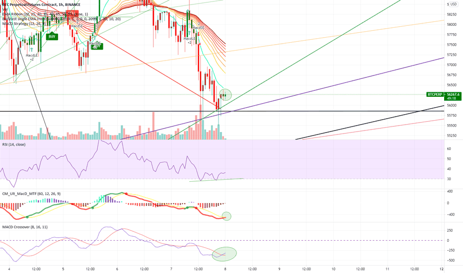 BTC UPDATE: bottom is in