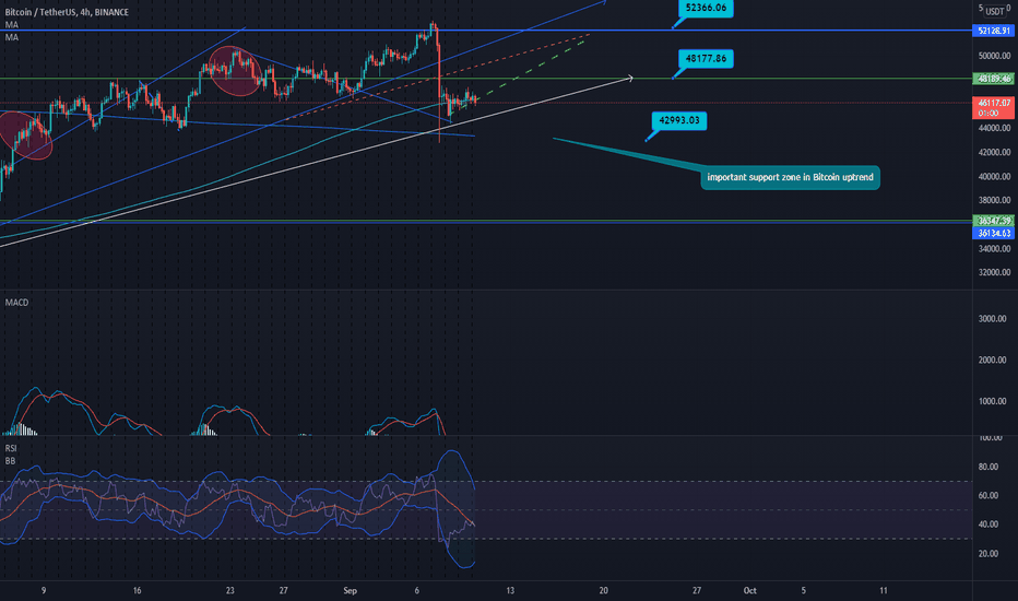 I still expect bitcoin's return in September to supports 48k 52k