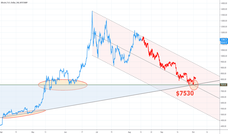 BTC Next Bull Run is not soon