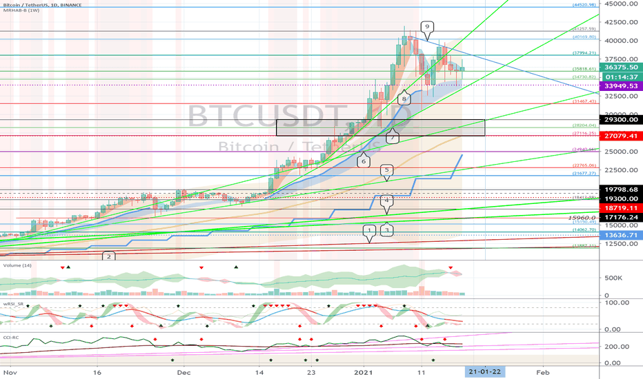 Bitcoin (BTC) - January 19
