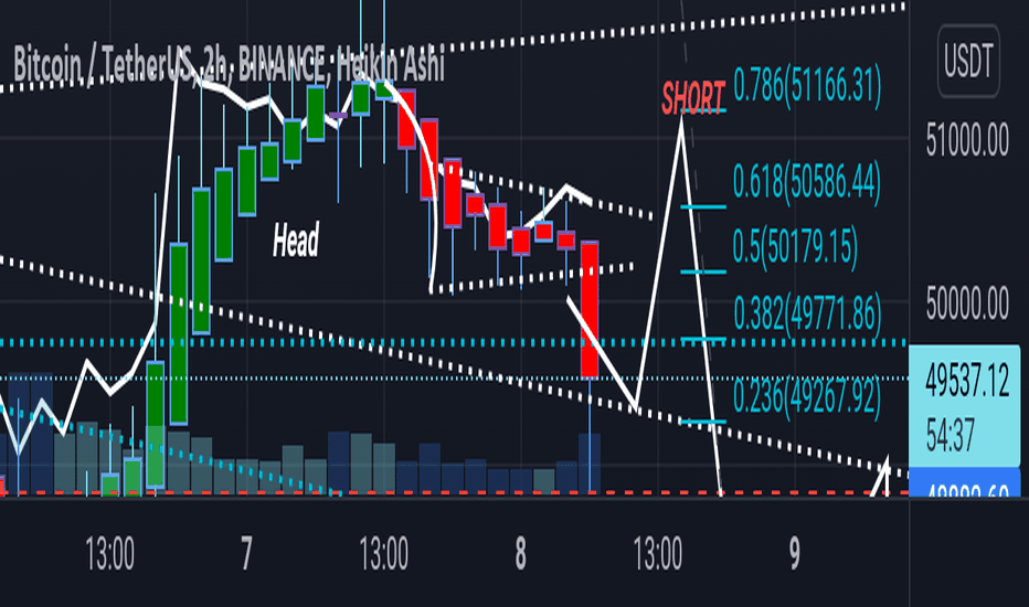 We Reached a 49300 TP. Now a Pullback Is Coming.