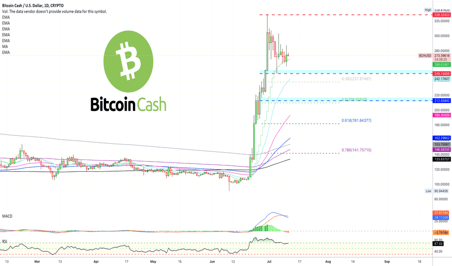 ✴️ Bear Market Action vs Bull Market Action | Bitcoin Cash