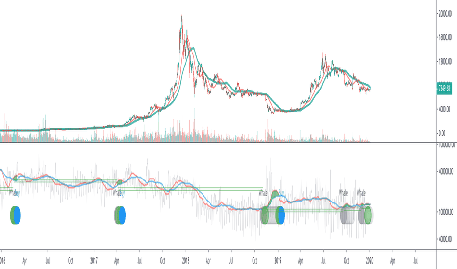 BTC Transaction/On-Chain Volume (Basic)
