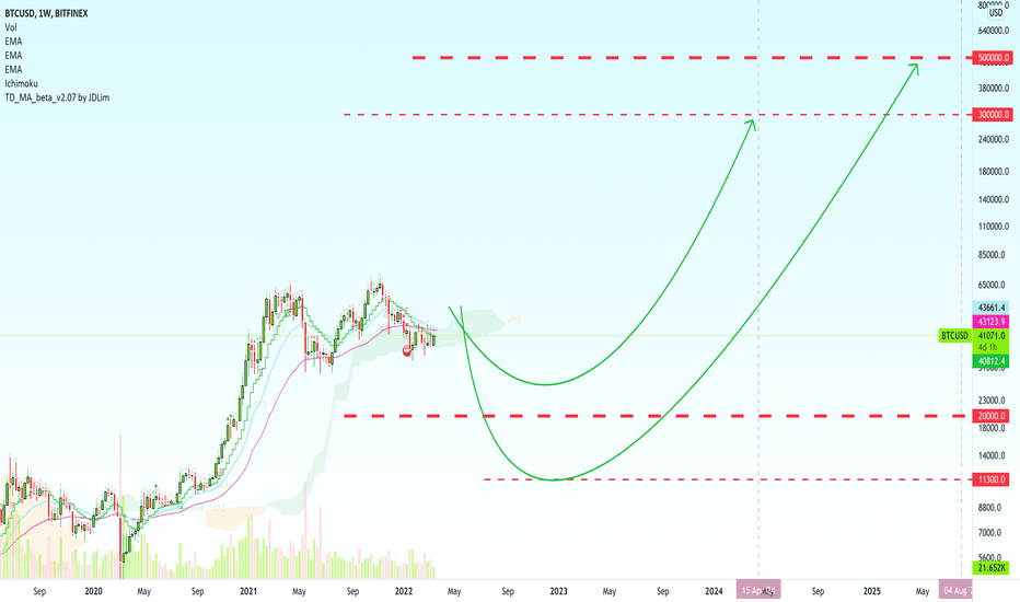 Before $300,000 - $500,000 Bitcoin Hits $20,000 to $11,300...