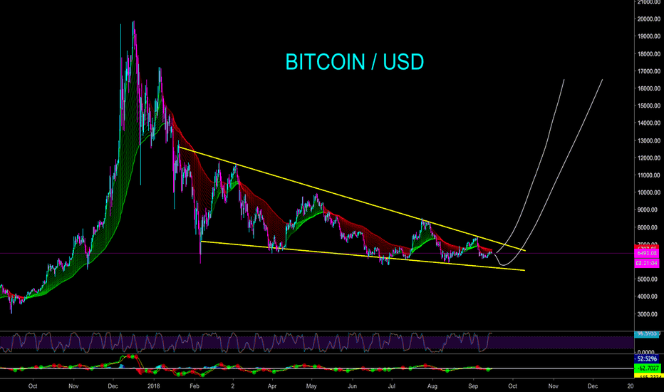 WHAT EVERYONE SEEMS TO FORGET - DOWNWARD WEDGE - CryptoManiac101