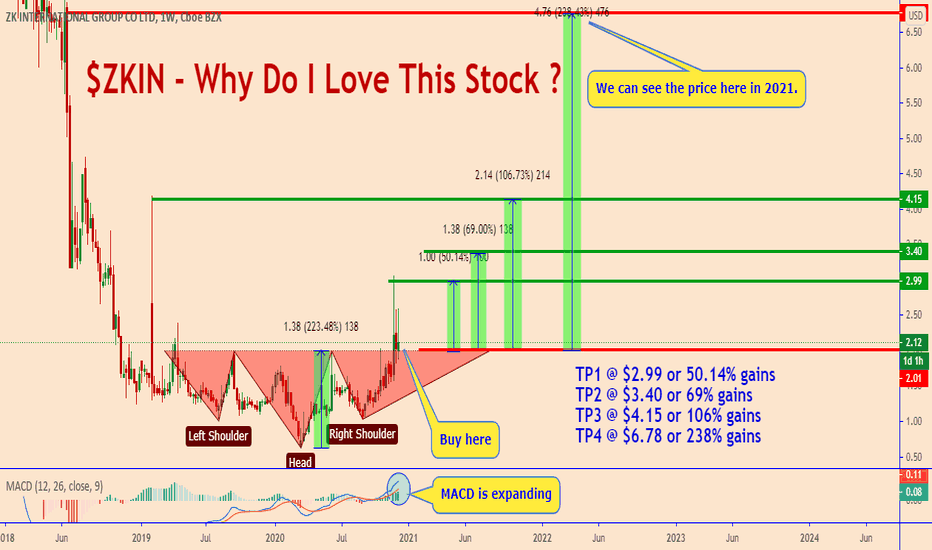 ZKIN: An Excellent Catalyst That Can Make The Price Fly