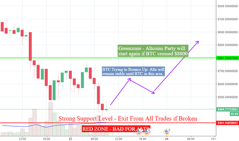 BTC and Altcoin Possible Scenario Update