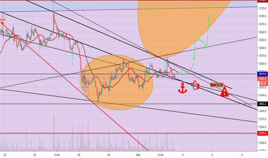 BITCOIN BULL RUN UPdate 1.0