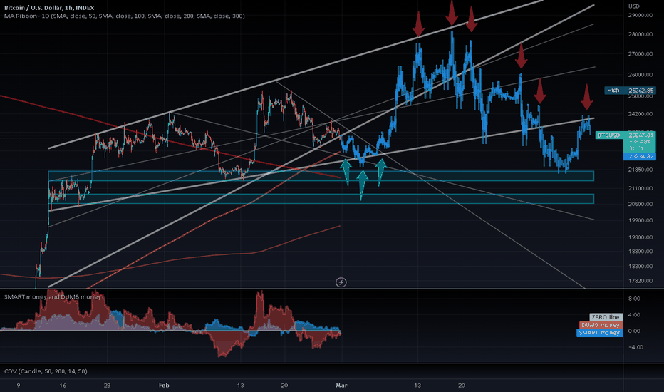 Mock Up Price Action for BTC for the Next Couple of Months