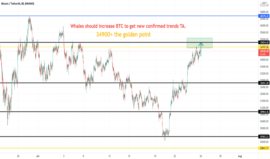 BTC- Whales should increase BTC to get new confirmed 34900