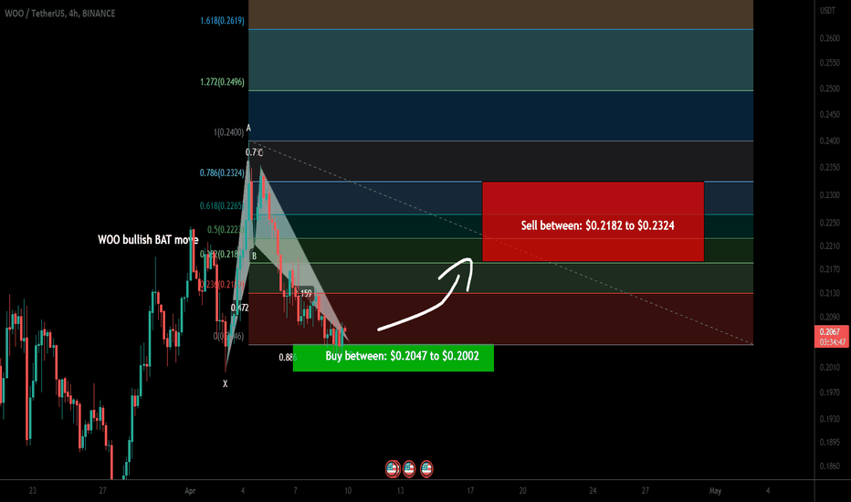 WOO Network (WOO) formed bullish BAT for upto 16% pump