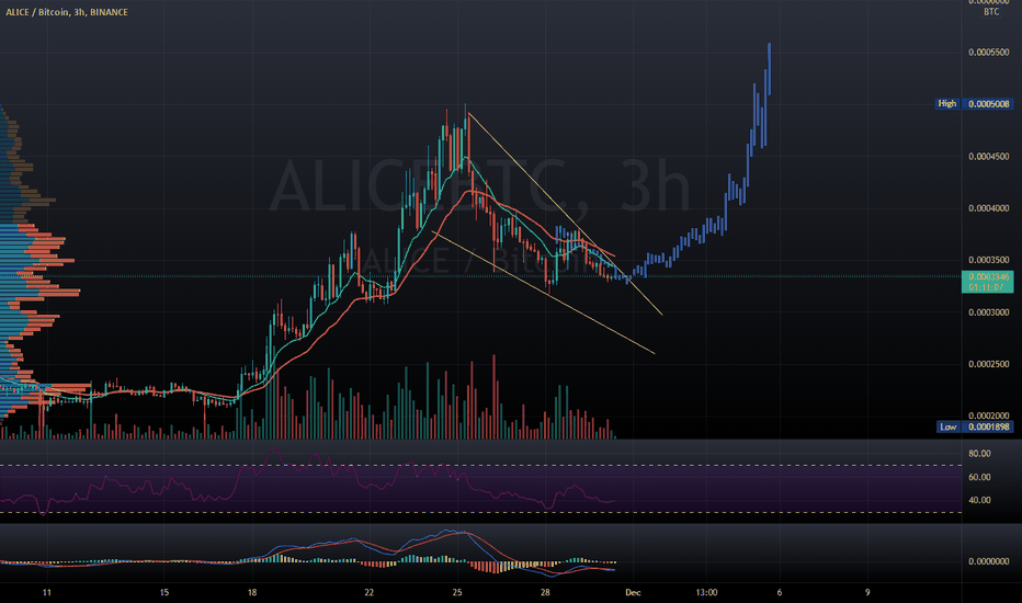 BTC/ALICE Expectations